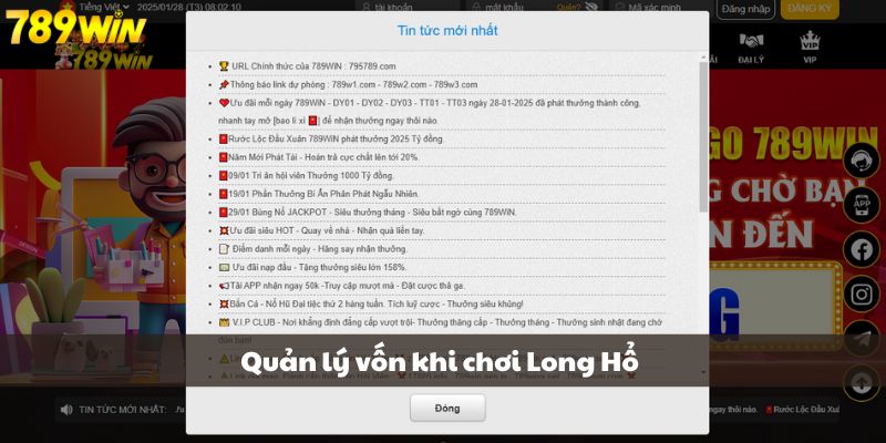 Quản lý vốn khi chơi Long Hổ