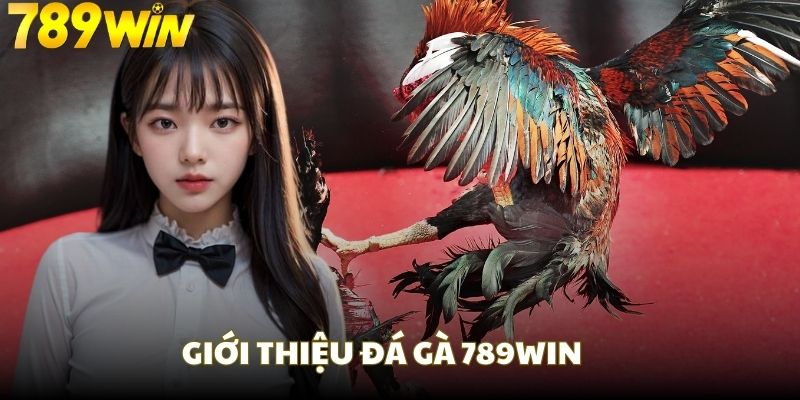 Giới thiệu về sàn đấu đá gà 789WIN