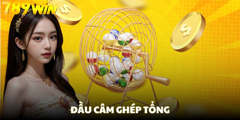 Có thể dùng đầu câm ghép tổng để tăng tính hiệu quả