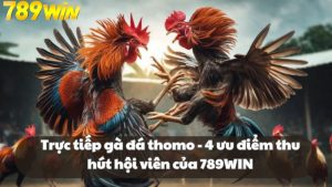 Trực tiếp gà đá thomo