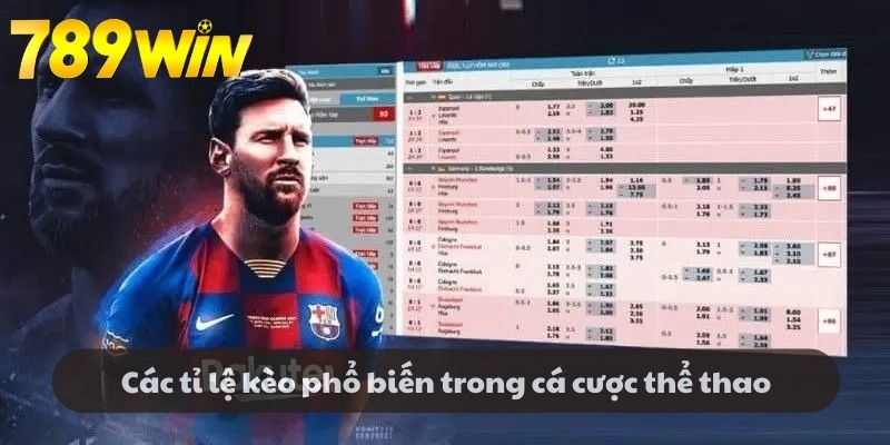 Các tỉ lệ kèo phổ biến trong cá cược thể thao